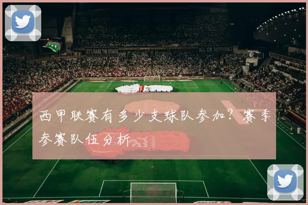 西甲联赛有多少支球队参加？赛季参赛队伍分析