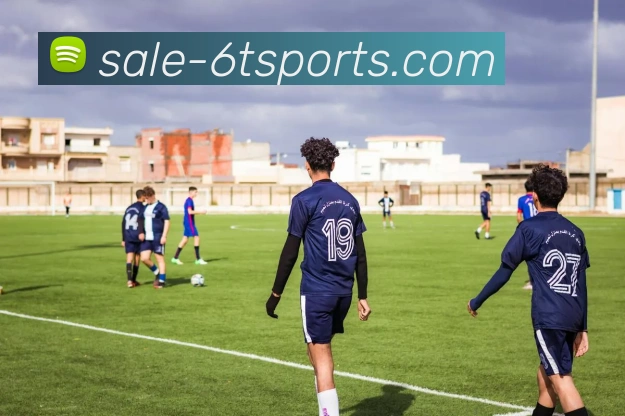 6T体育平台生态图